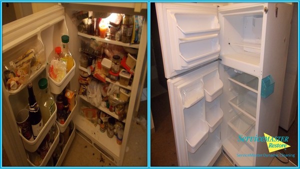 Before & After Fridge Cleaning in Seffner, FL (1)